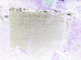 image of grave number 904467